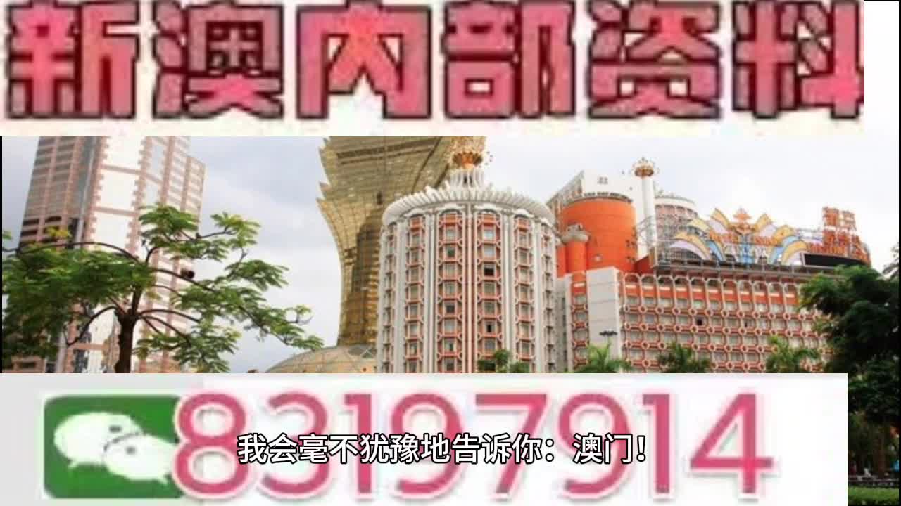 新澳门今晚开特马开奖,专家意见解释定义_Executive38.389