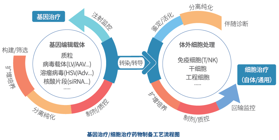 基因治疗的最新内涵及探索应用前景