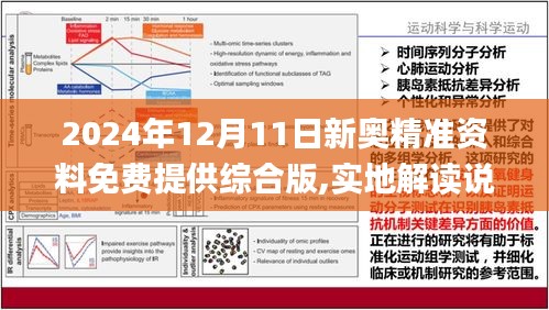 2024新奥正版资料最精准免费大全,精准分析实施步骤_soft93.963