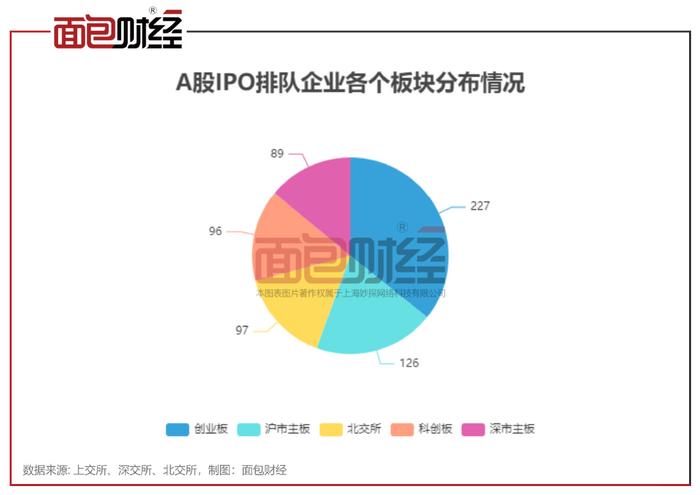 最新IPO排队情况深度剖析